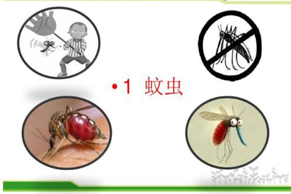 四害消杀公司提醒大家千万不要忽视小蚊蝇