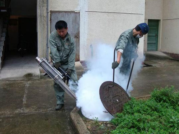 济南杀虫公司是怎样灭鼠蝇的