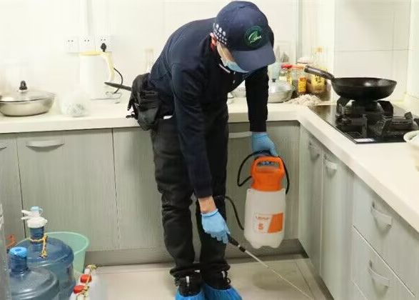 济南杀虫公司哪家正规？